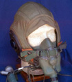 h-4_maggot_05_tn.jpg (19601 bytes)